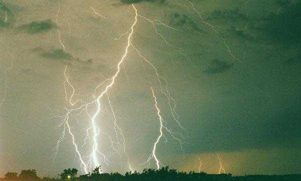 有趣的动物科普小知识大全