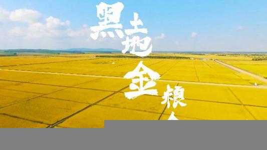 中国三大平原是哪三个