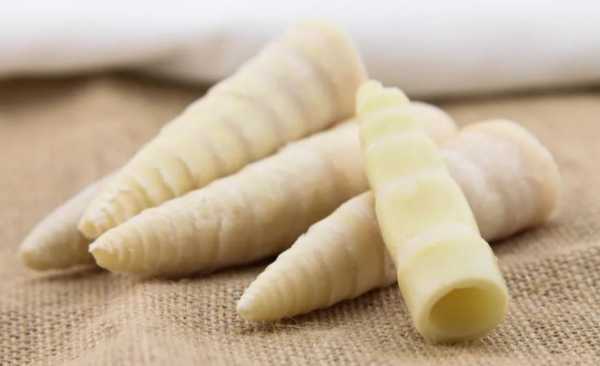 春季养生必吃十种食物有哪些