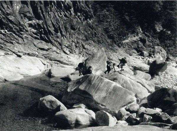 两棵树的户外品牌叫什么