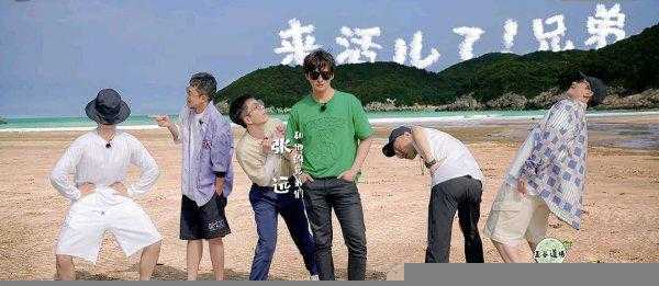 最近最火的电视剧排名