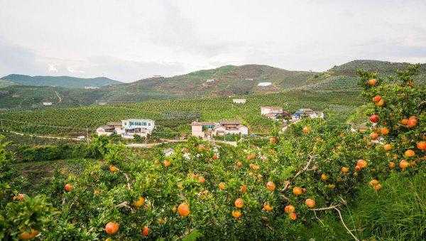 会理县属于哪个市