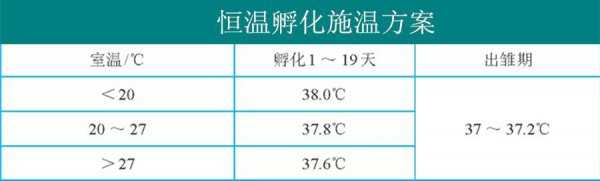 小鸡孵化的温度是多少摄氏度