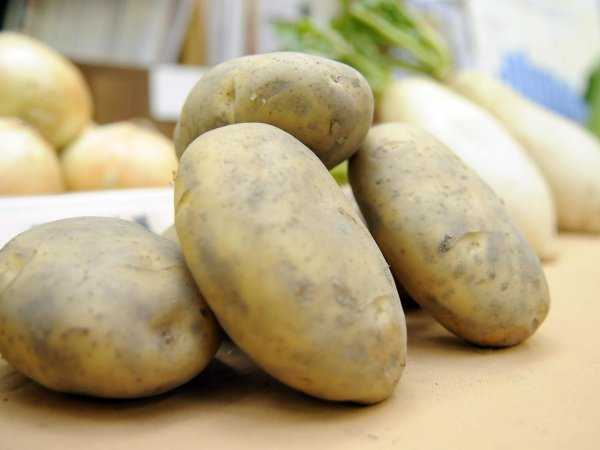 什么菜不能放冰箱里面