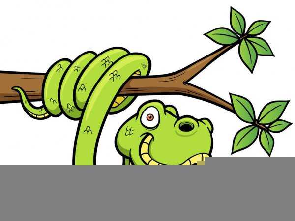 蛇一般几月份出来活动