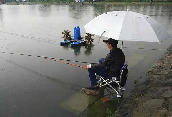 路亚和台钓的区别