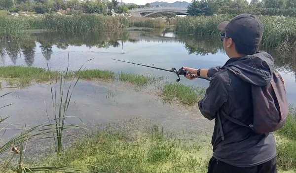 路亚和台钓的区别