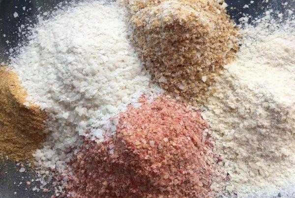 初夏钓鲫鱼用什么饵料最好