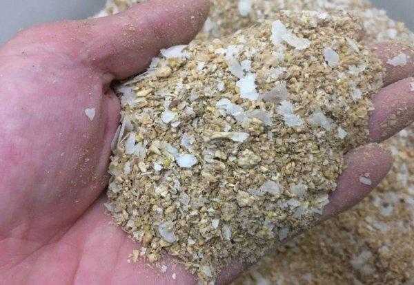 初夏钓鲫鱼用什么饵料最好