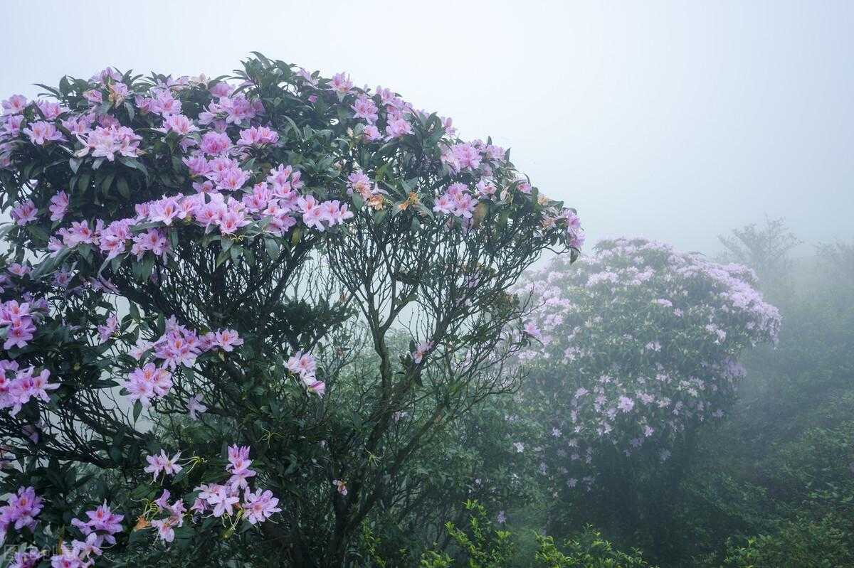 阳春市属于哪个省哪个市