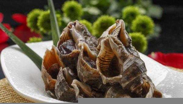 小海螺煮几分钟可以熟窍门