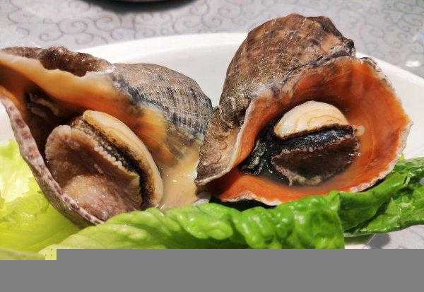 小海螺煮几分钟可以熟窍门