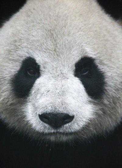 植物最不喜欢什么颜色的光