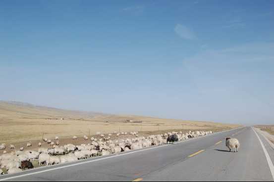 红酒开瓶后多长时间就不能喝了