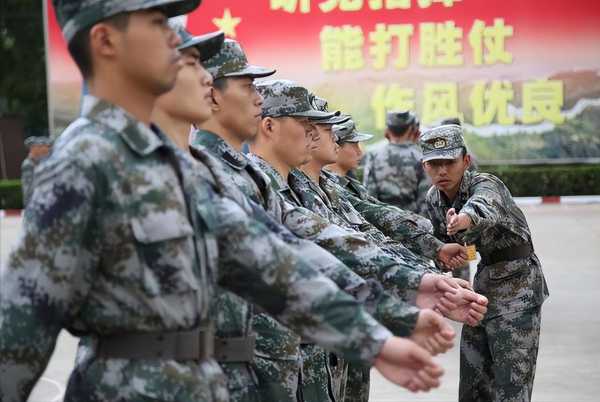 役前训练淘汰率高吗