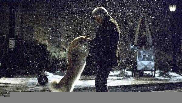 零差评催泪超感人电影