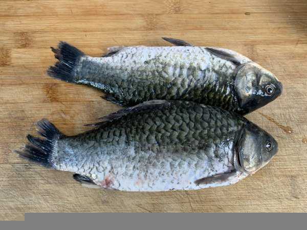 鱼去腥用什么方法最好