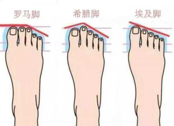 第二个脚趾头比第一个长的寓意