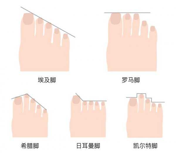 第二个脚趾头比第一个长的寓意