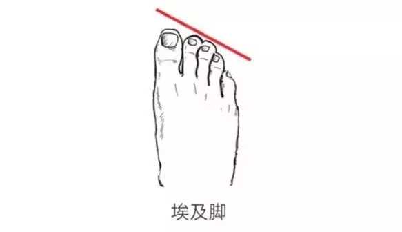 第二个脚趾头比第一个长的寓意