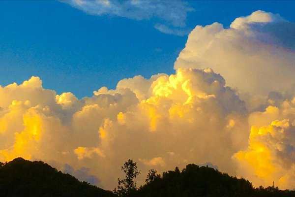 农历四月初一是什么日子