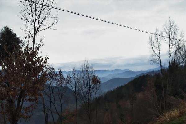 农历四月初一是什么日子