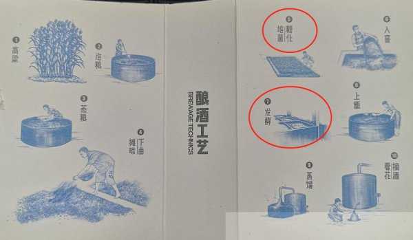 江小白是纯粮食酒吗