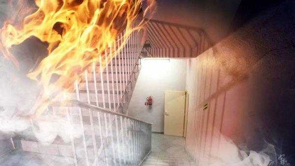 我买了高层二楼感受