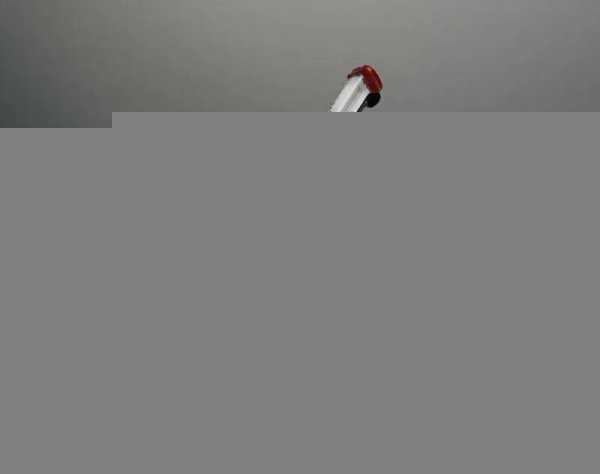 水银体温计使用方法