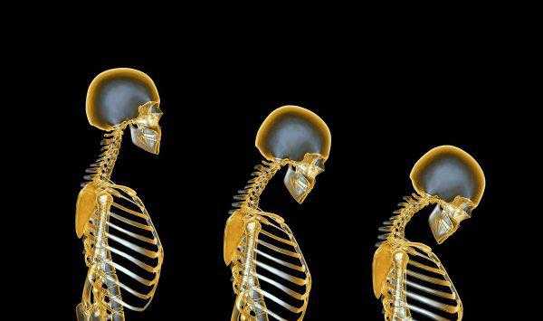 钓鲢鳙一般钓多深比较好