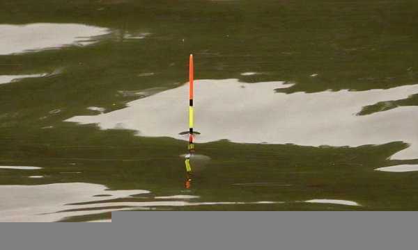 钓鲤鱼调漂的正确方法调几目