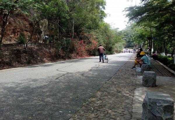 厦门怪坡现象是什么科学原理