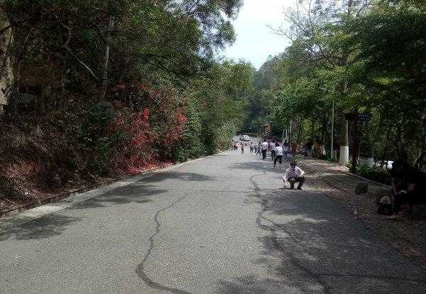 厦门怪坡现象是什么科学原理