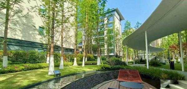 法拍房子的风险有哪些