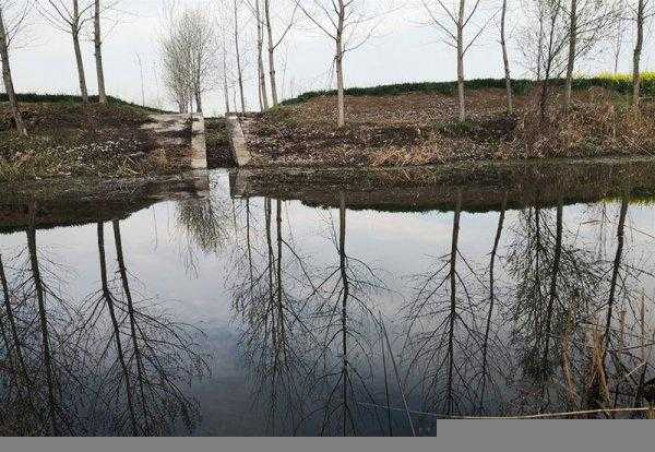 鱼不咬钩是什么原因导致的