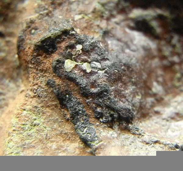 世界上顶级的陨石钻石有哪些