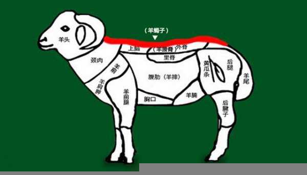 羊蝎子是哪个部位的肉图片