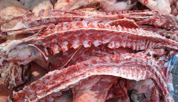 羊蝎子是哪个部位的肉图片