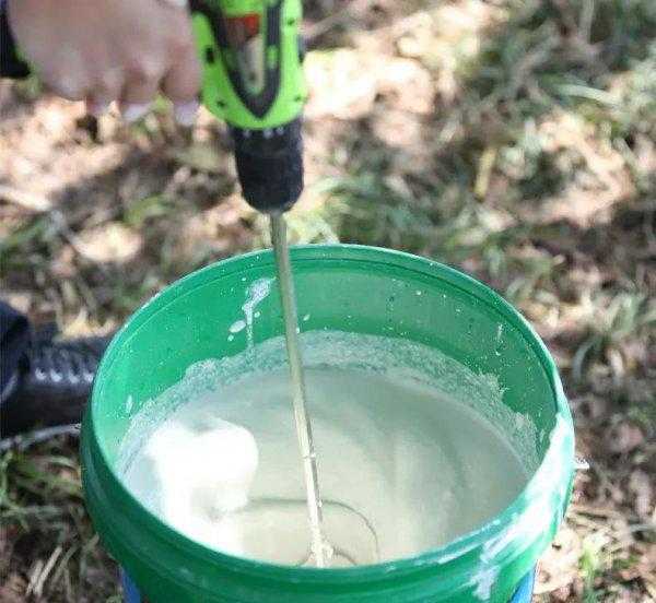 树为什么要刷白漆