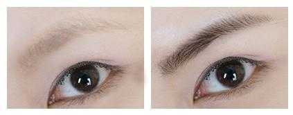 长寿眉预示什么象征