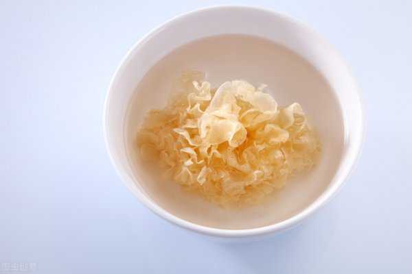 银耳泡好第二天炖行吗