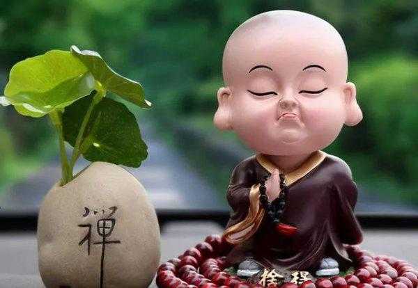 出道弟子怎样知道窍都打通了