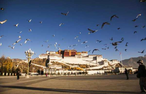 正常人拉萨高原反应严重吗