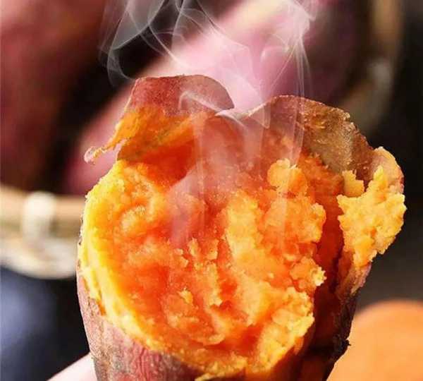 六鳌红蜜薯产地在哪里