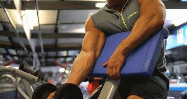 手臂二头肌是什么部位