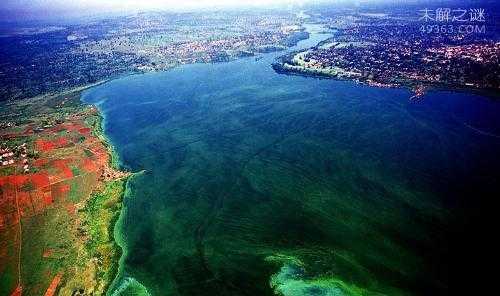 世界上最长的江河是哪一条