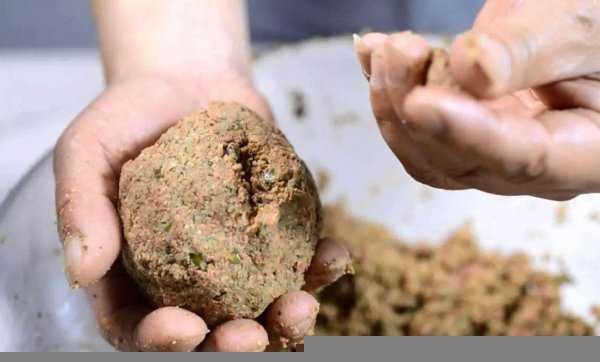 初夏钓鱼用什么味型饵料