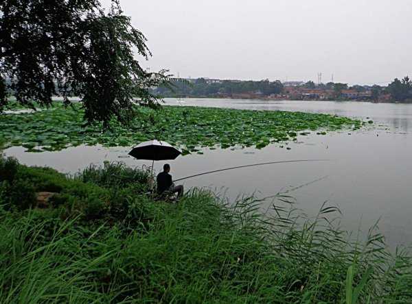 春季钓鱼选择什么位置最好