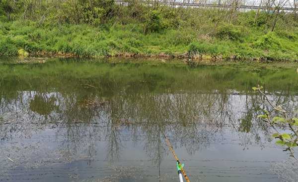 春季钓鱼选择什么位置最好