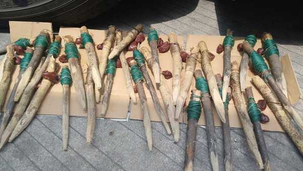 怎样钓甲鱼最有效